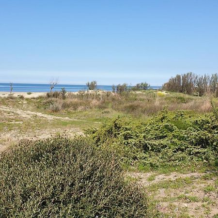 פאסואוסקורו La Bouganville מראה חיצוני תמונה